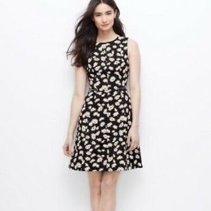 Ann Taylor Floral Zipper Fit and Flare Dress